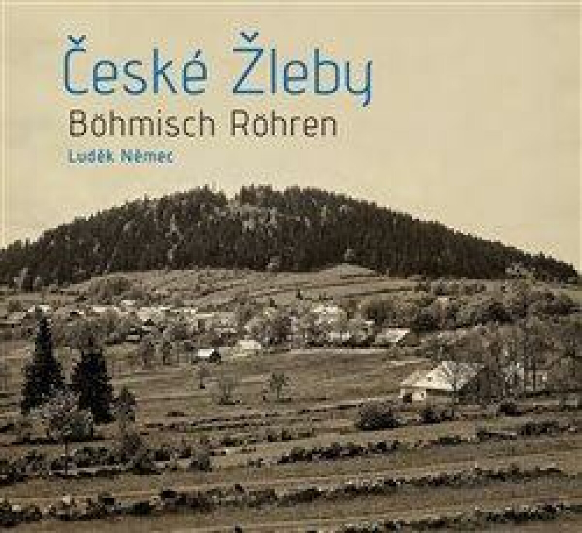 Kniha České Žleby - Böhmisch Röhren. Historie osady n a Zlaté stezce