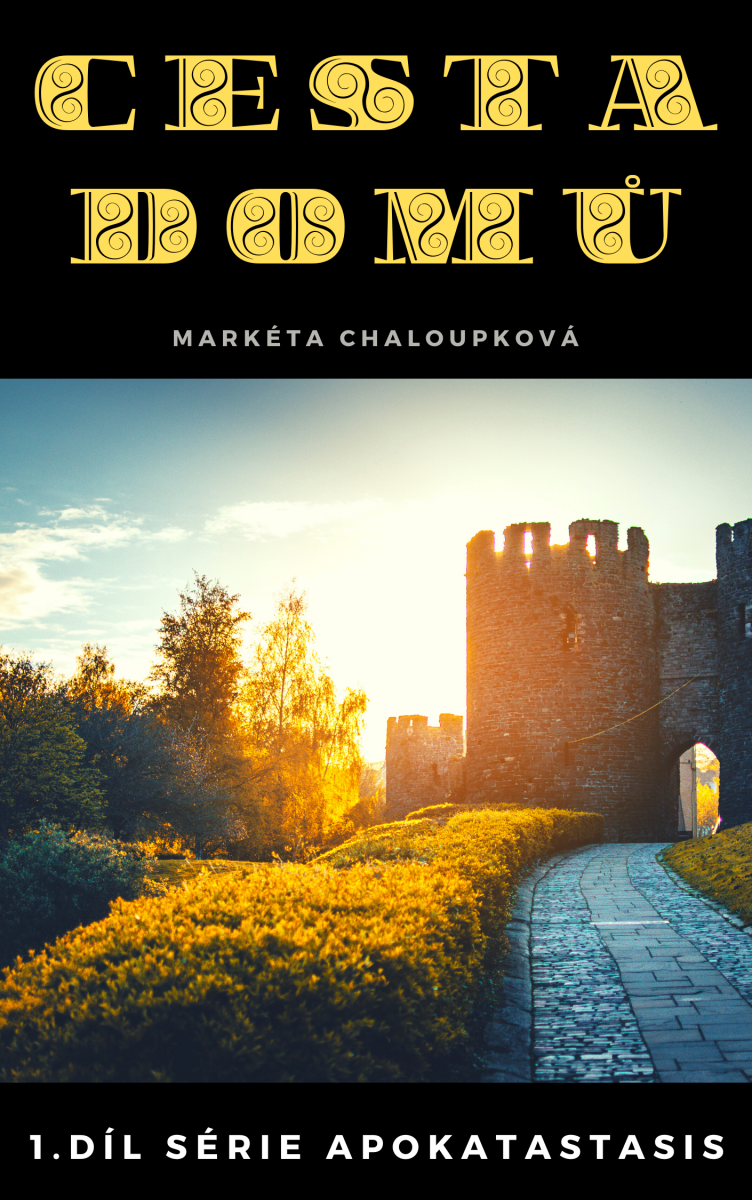 Cesta domů - Markéta Chaloupková