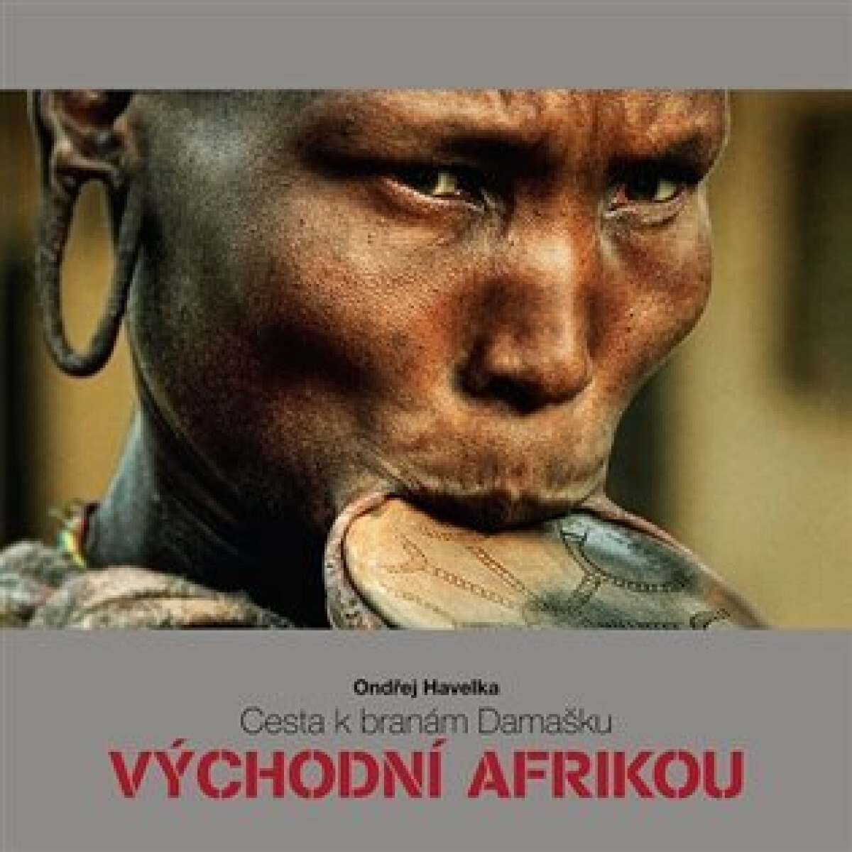 Kniha Cesta k branám Damašku východní Afrikou