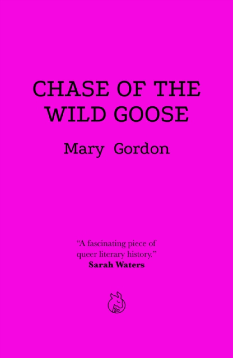 Kniha Chase Of The Wild Goose