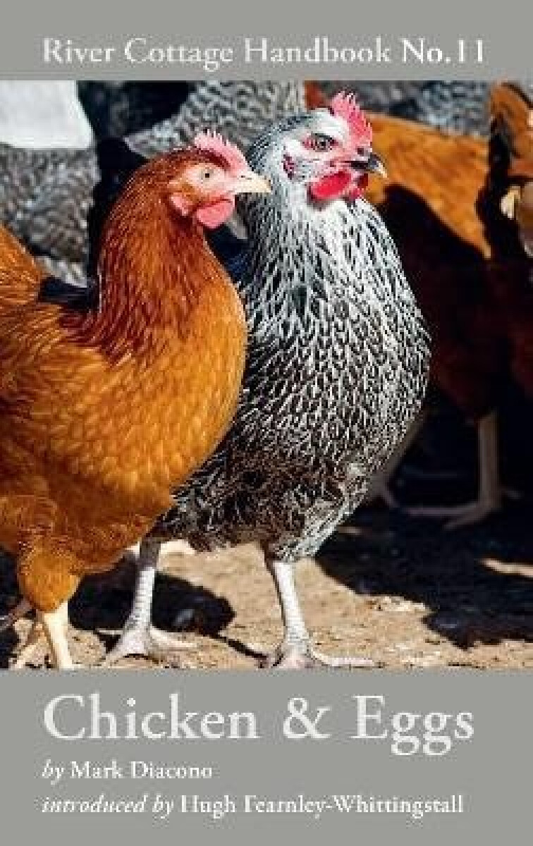 Kniha Chicken&Eggs