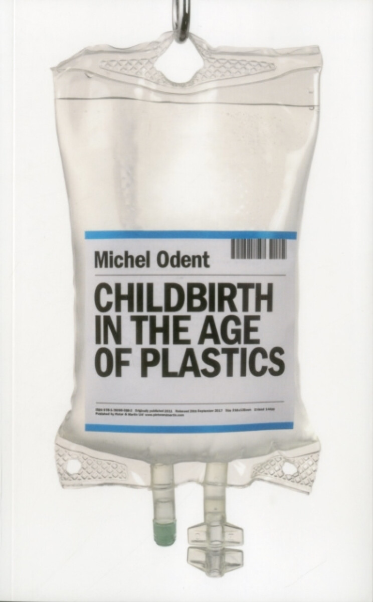 Kniha Childbirth in the Age of Plastics