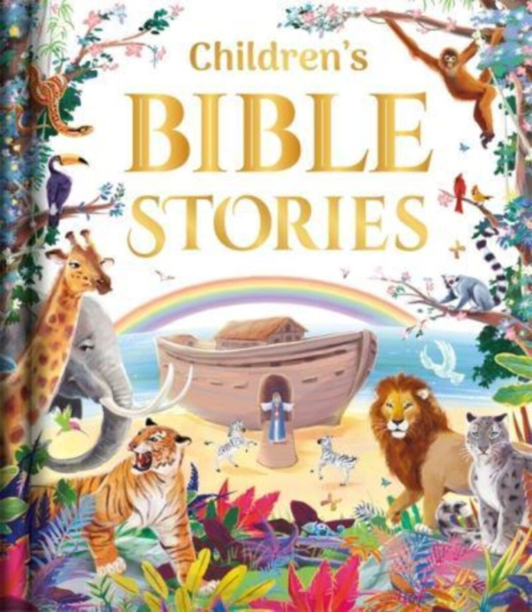 Kniha Children's Bible Stories