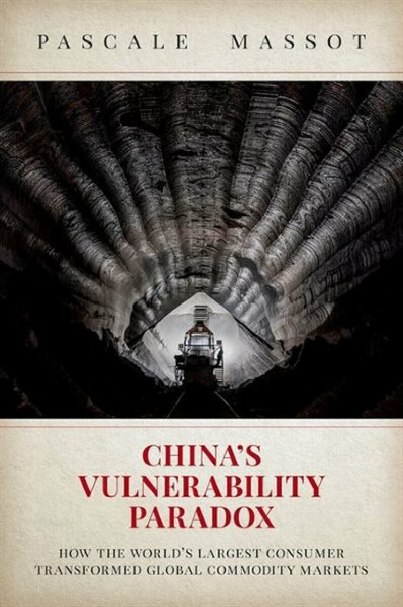 Kniha China's Vulnerability Paradox