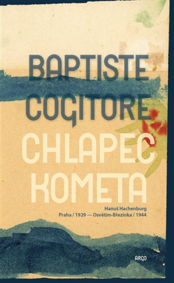 Kniha Chlapec kometa