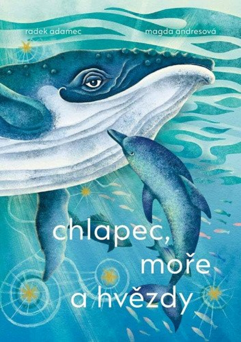 Kniha Chlapec, moře a hvězdy