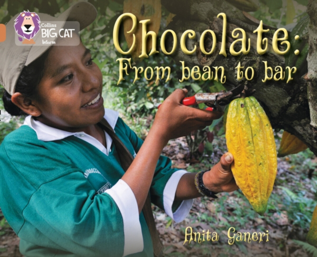 Kniha Chocolate: from Bean to Bar