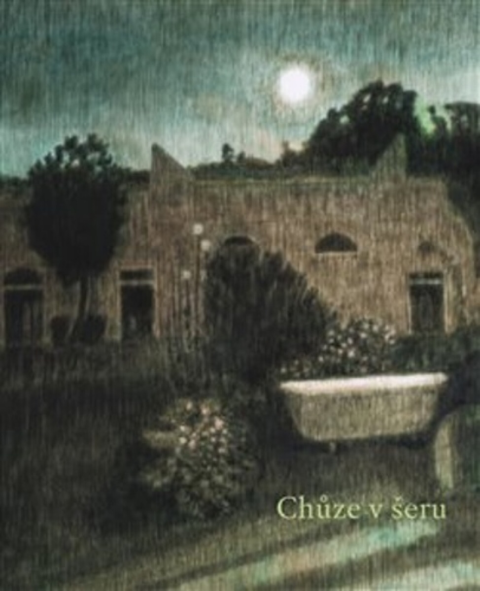 Kniha Chůze v šeru a jiné příběhy