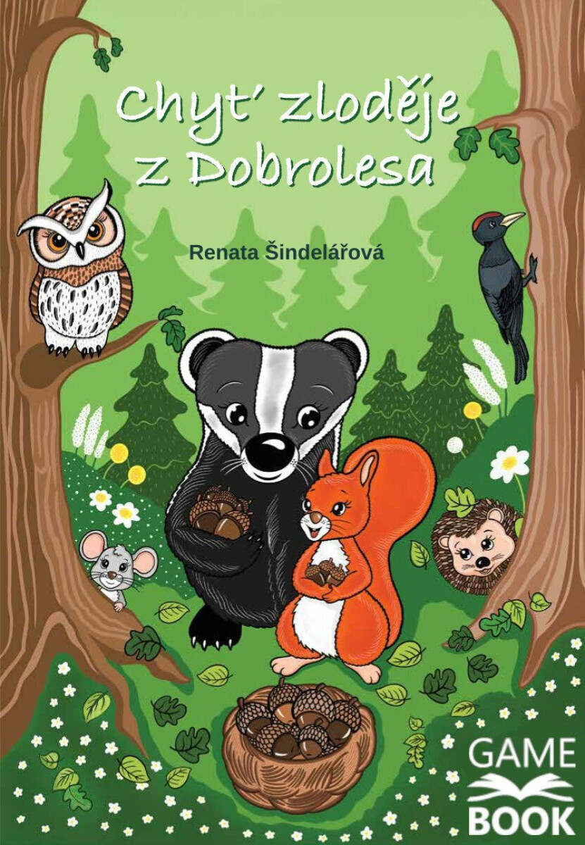 Kniha Chyť zloděje z Dobrolesa (gamebook)