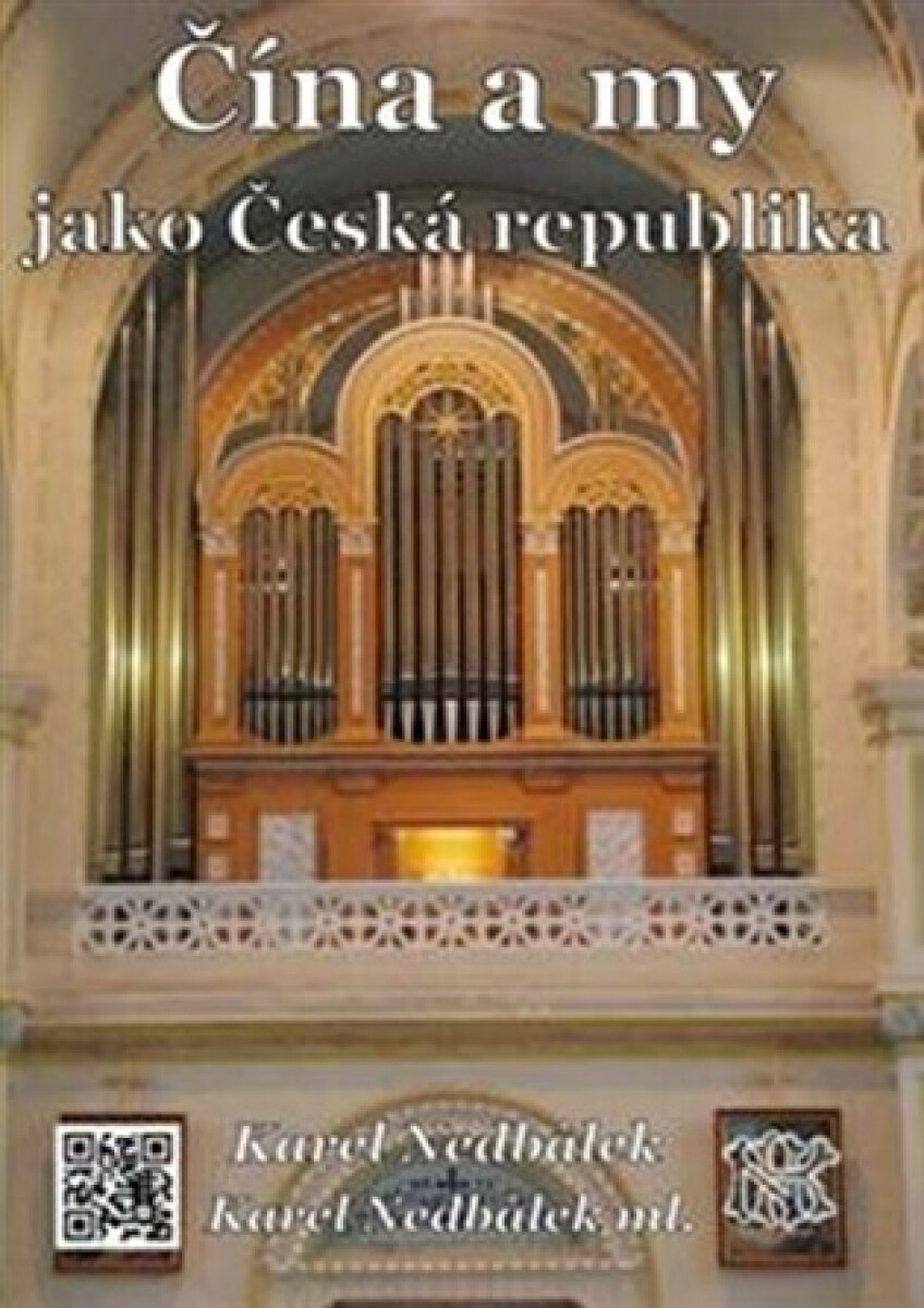 Kniha Čína a my jako Česká republika