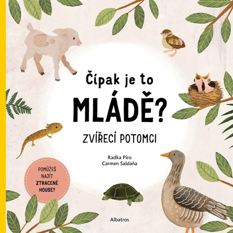 Kniha Čípak je to mládě?
