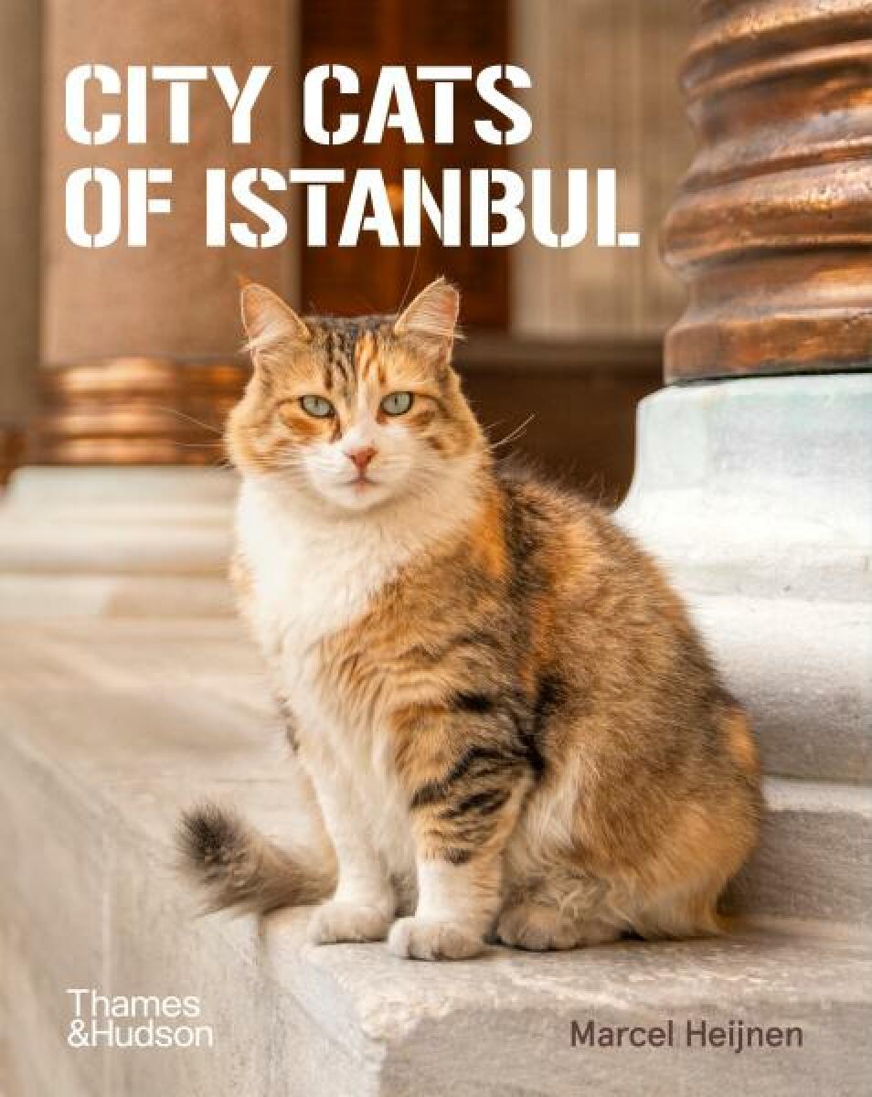 Kniha City Cats of Istanbul