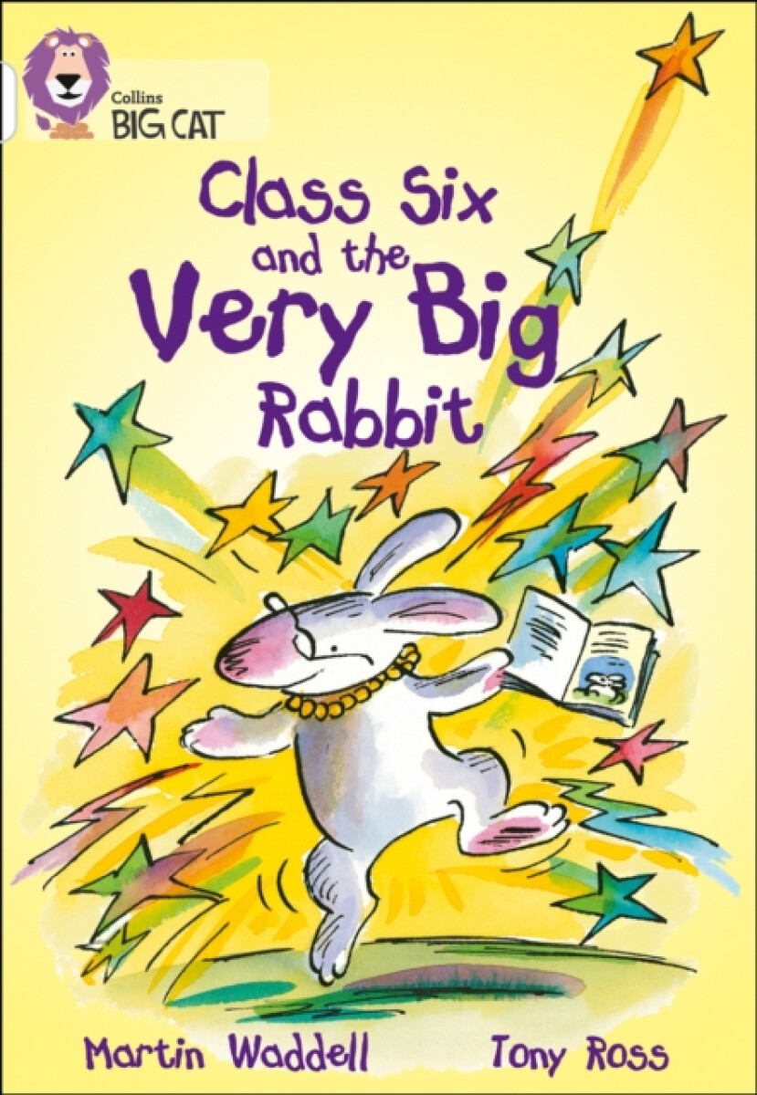 Kniha Class Six and the Very Big Rabbit