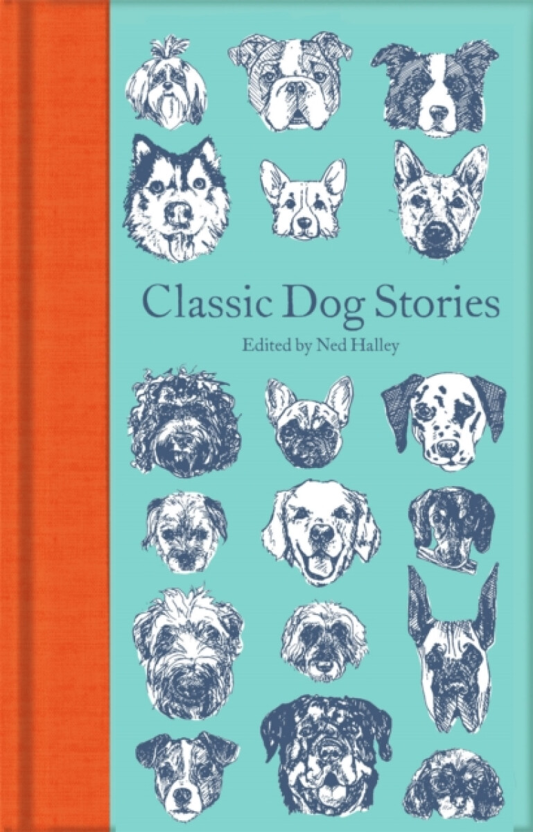 Kniha Classic Dog Stories