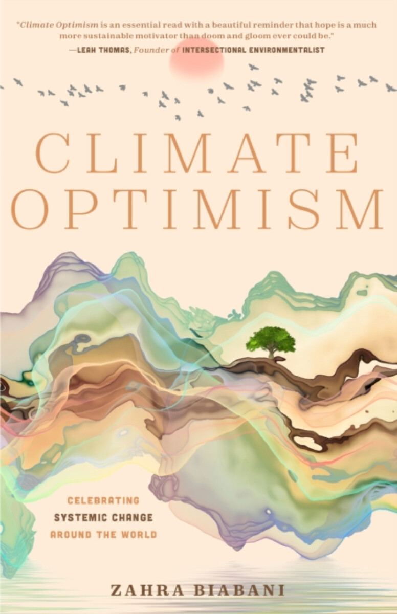 Kniha Climate Optimism