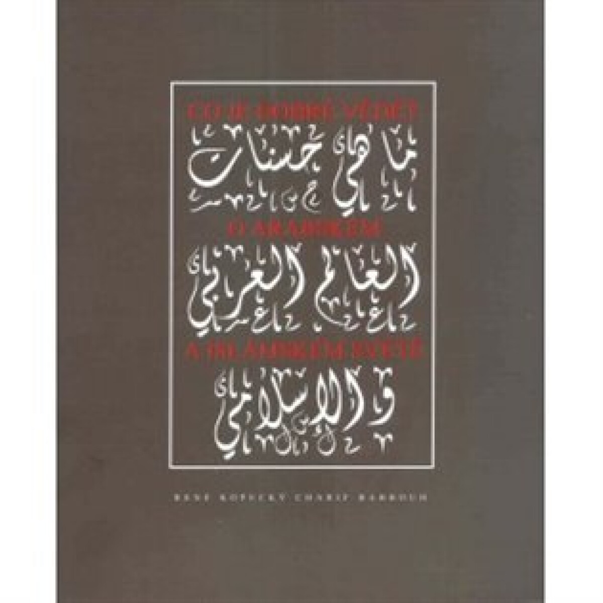 Kniha Co je dobré vědět o arabském a islámském světě