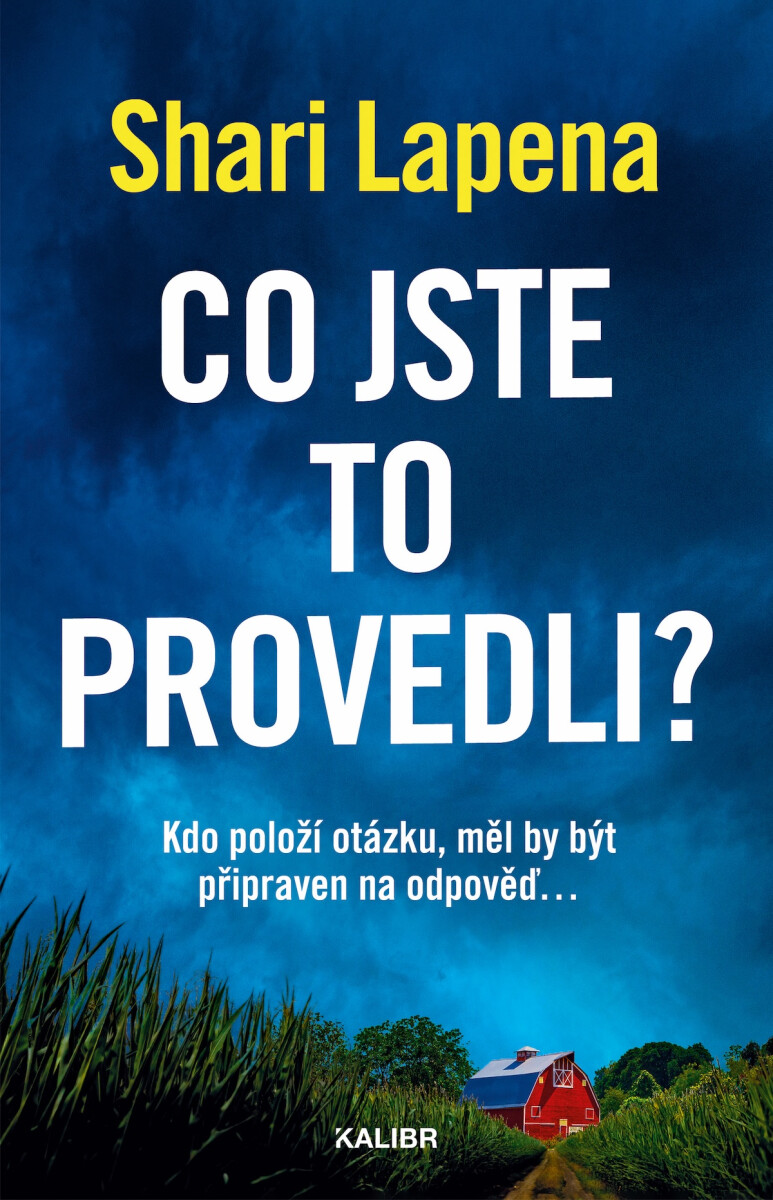 Levně Co jste to provedli? - Shari Lapena