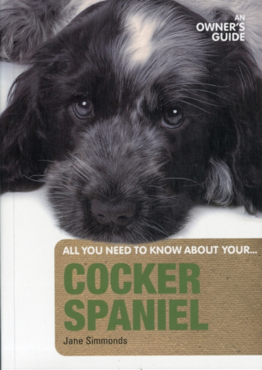 Cocker Spaniel - Jane Simmonds