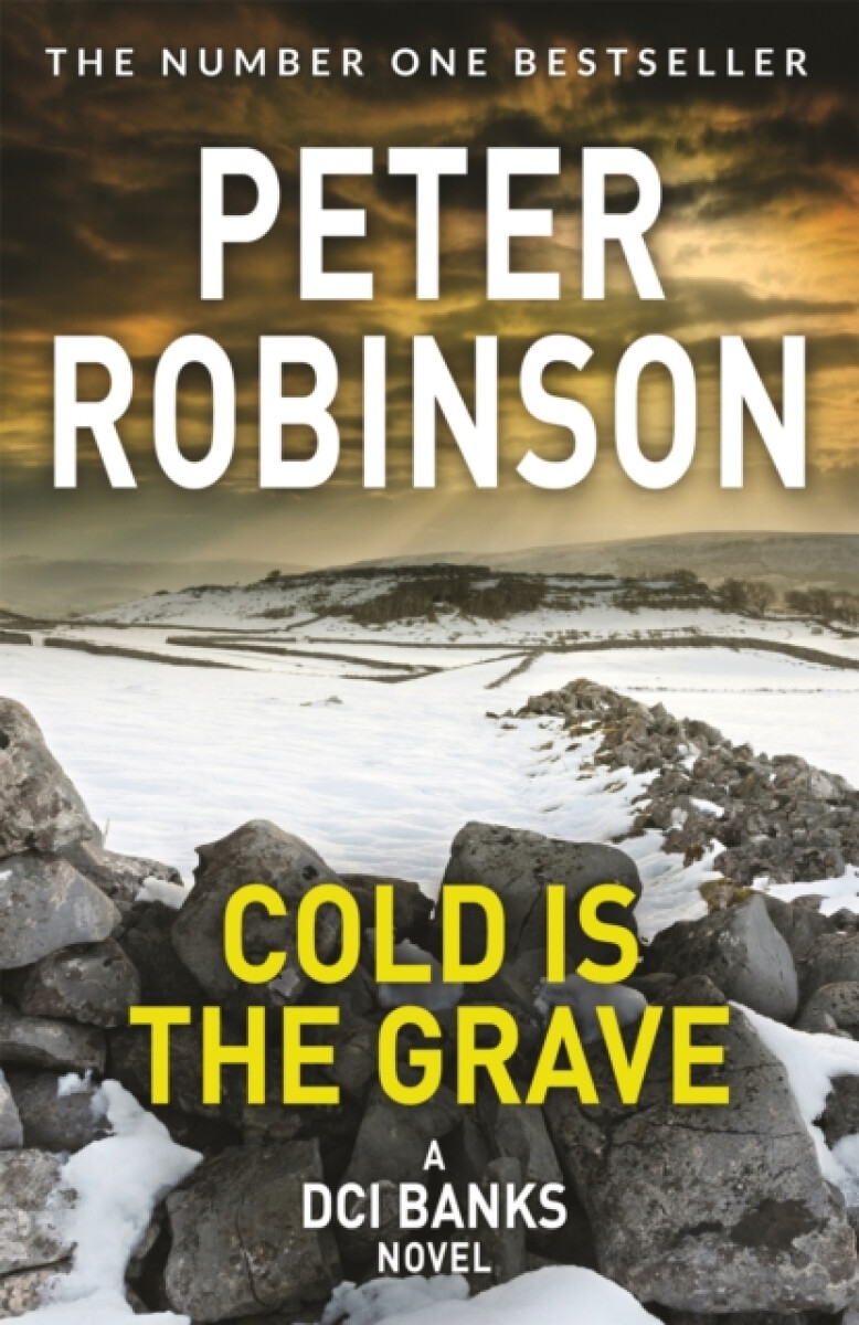 Kniha Cold is the Grave
