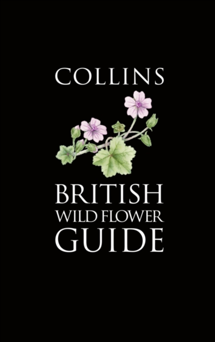 Kniha Collins British Wild Flower Guide