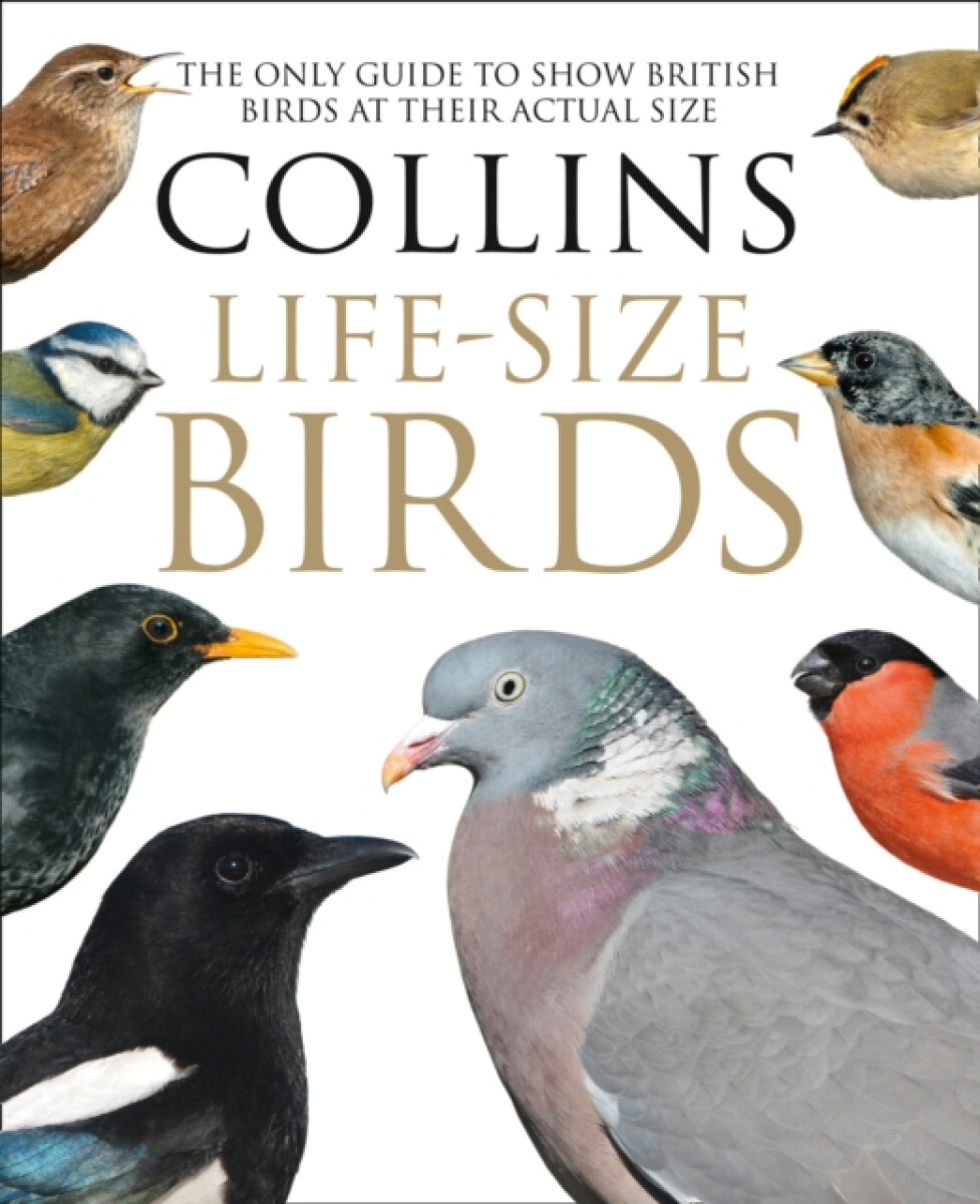 Kniha Collins Life-Size Birds