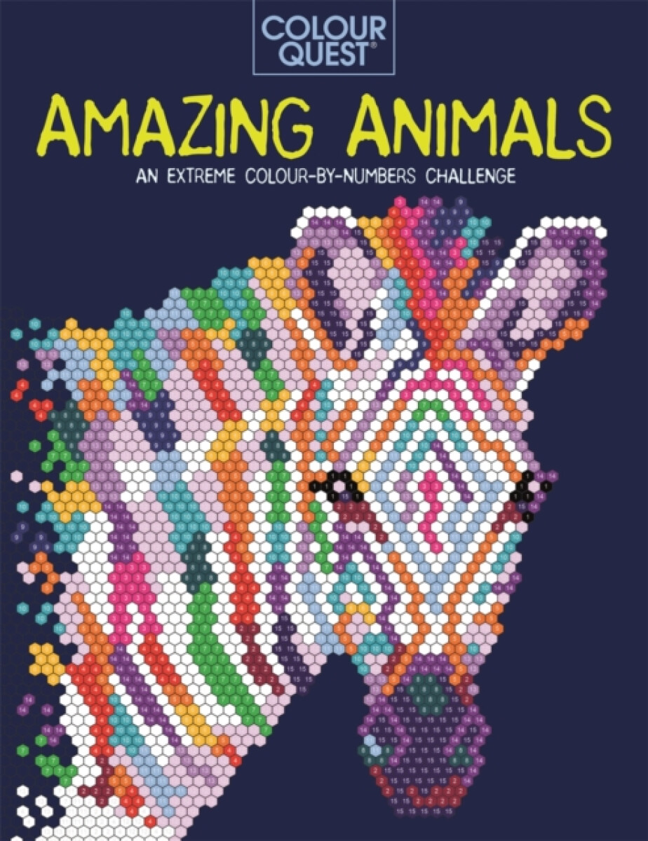 Kniha Colour Quest®: Amazing Animals