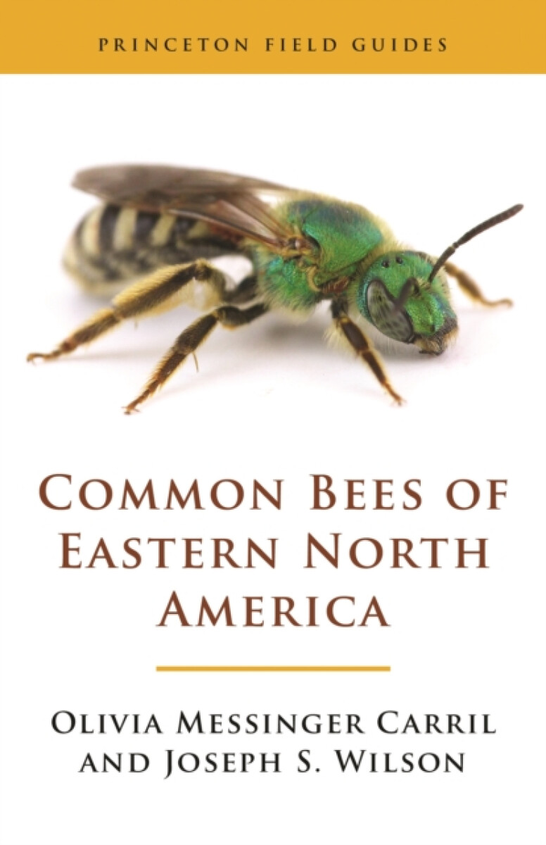 Kniha Common Bees of Eastern North America