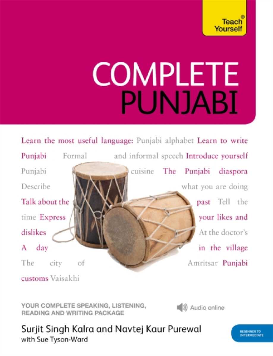 Kniha Complete Punjabi Beginner to Intermediate Course