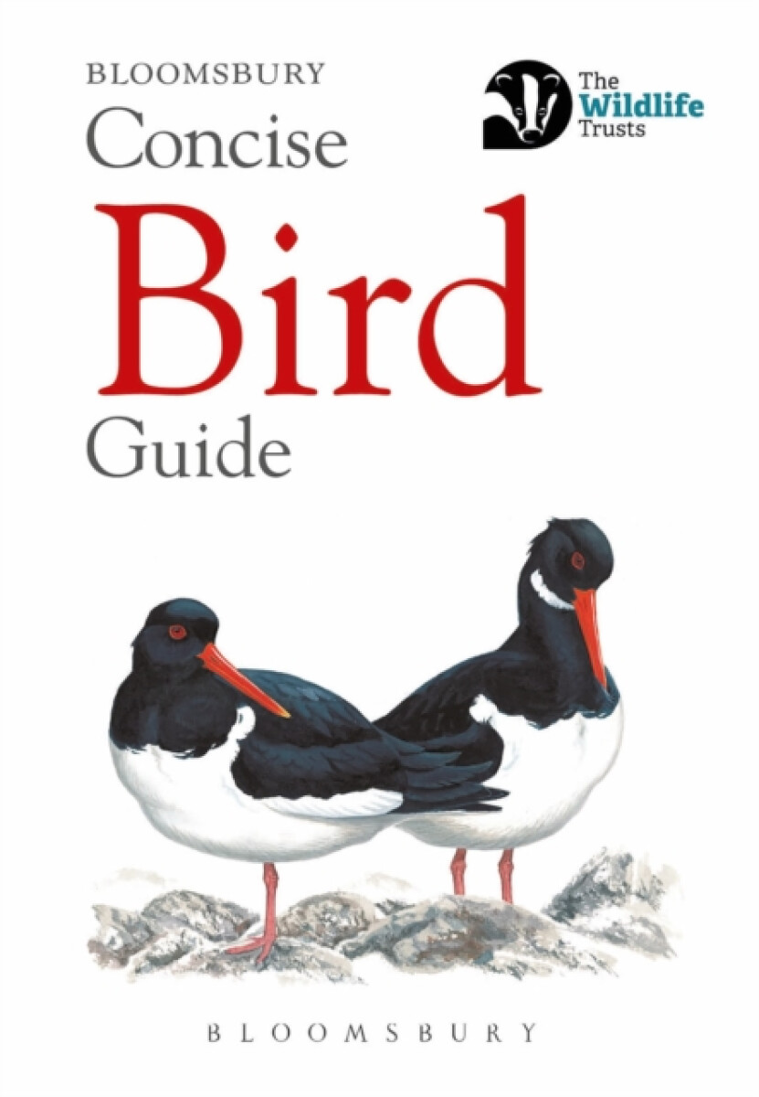Kniha Concise Bird Guide