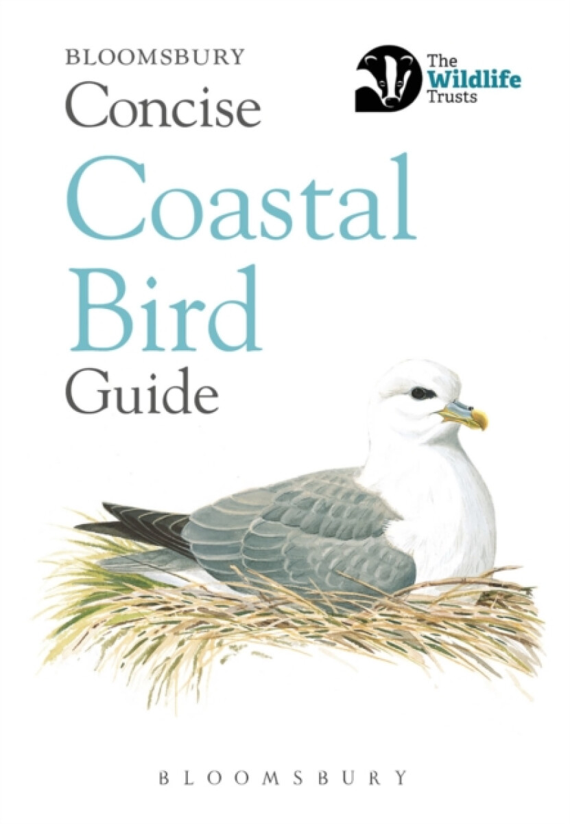 Concise Coastal Bird Guide