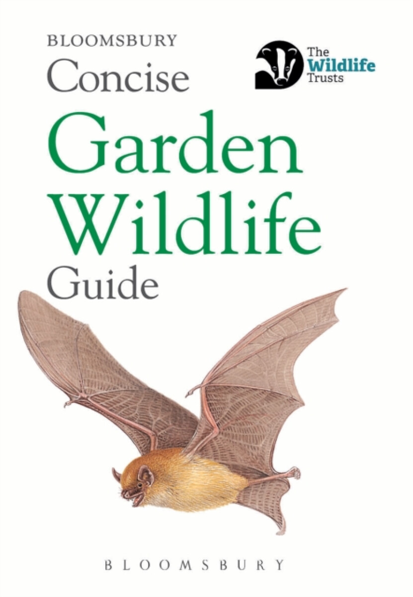 Kniha Concise Garden Wildlife Guide