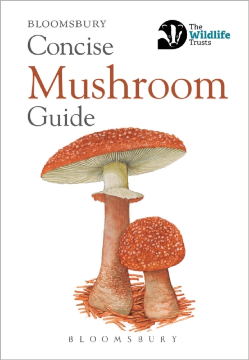 Kniha Concise Mushroom Guide