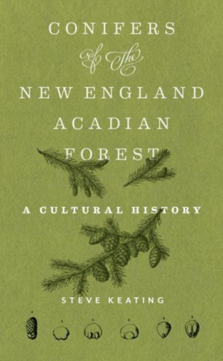 Kniha Conifers of the New England–Acadian Forest