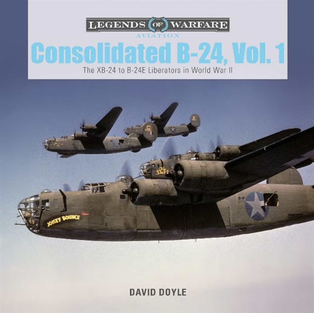 Kniha Consolidated B-24 Vol.1