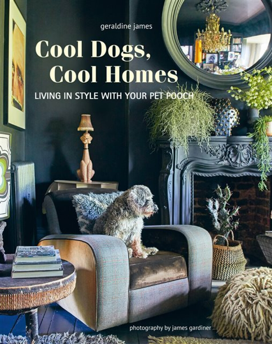 Kniha Cool Dogs, Cool Homes