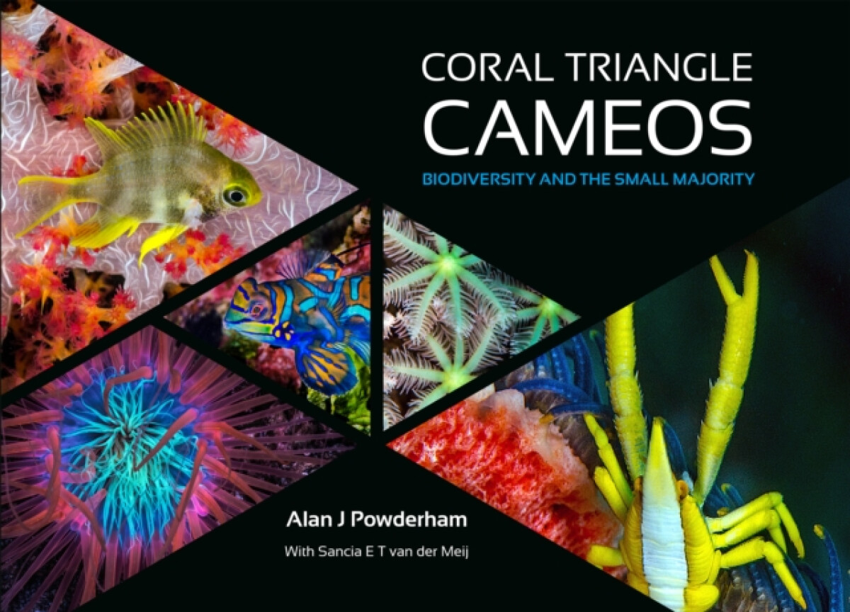 Kniha Coral Triangle Cameos