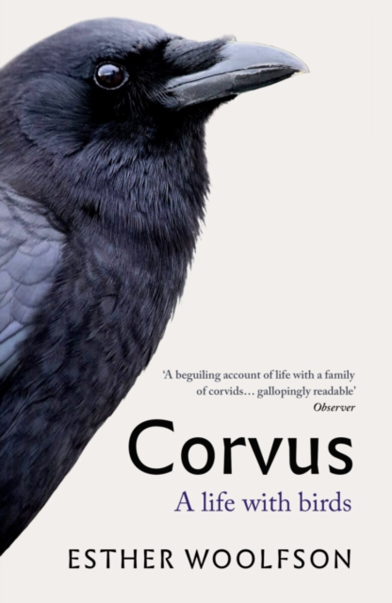 Kniha Corvus