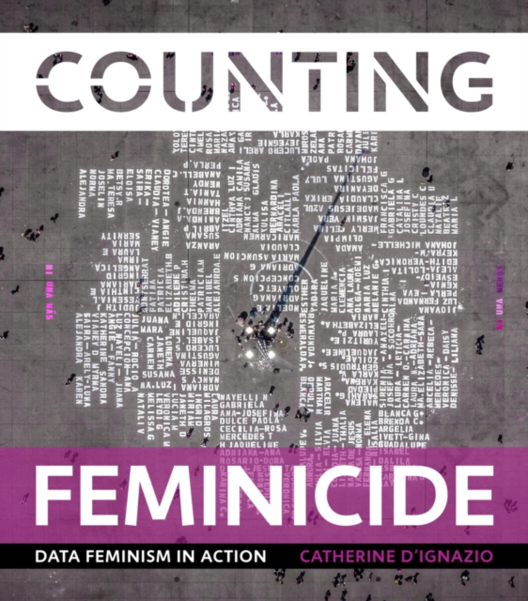 Kniha Counting Feminicide