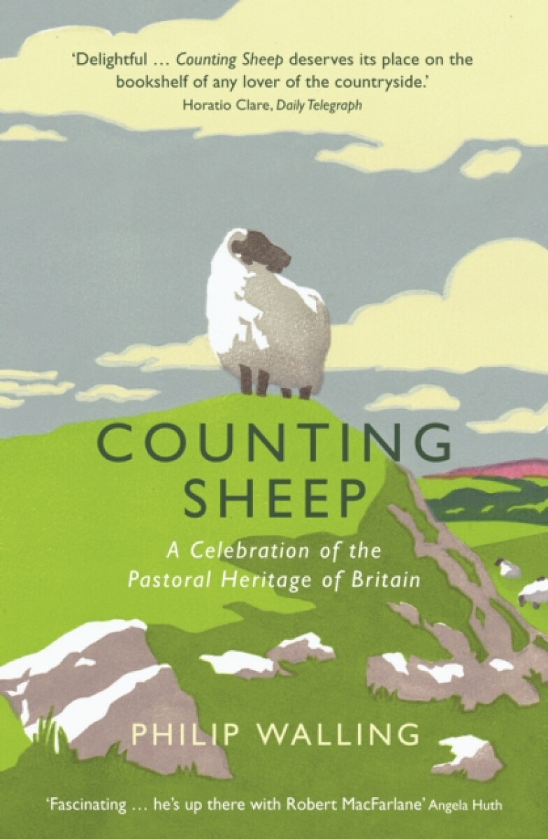 Kniha Counting Sheep