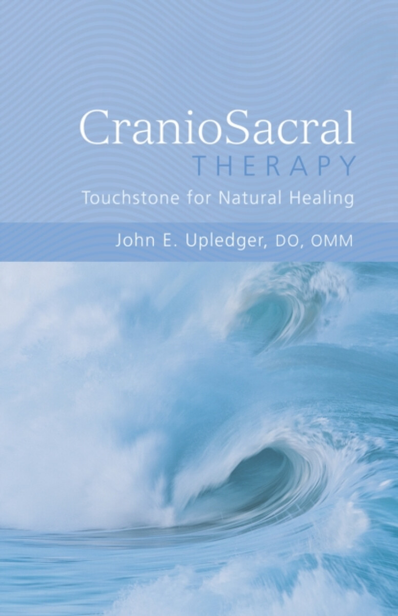 Kniha CranioSacral Therapy: Touchstone for Natural Healing
