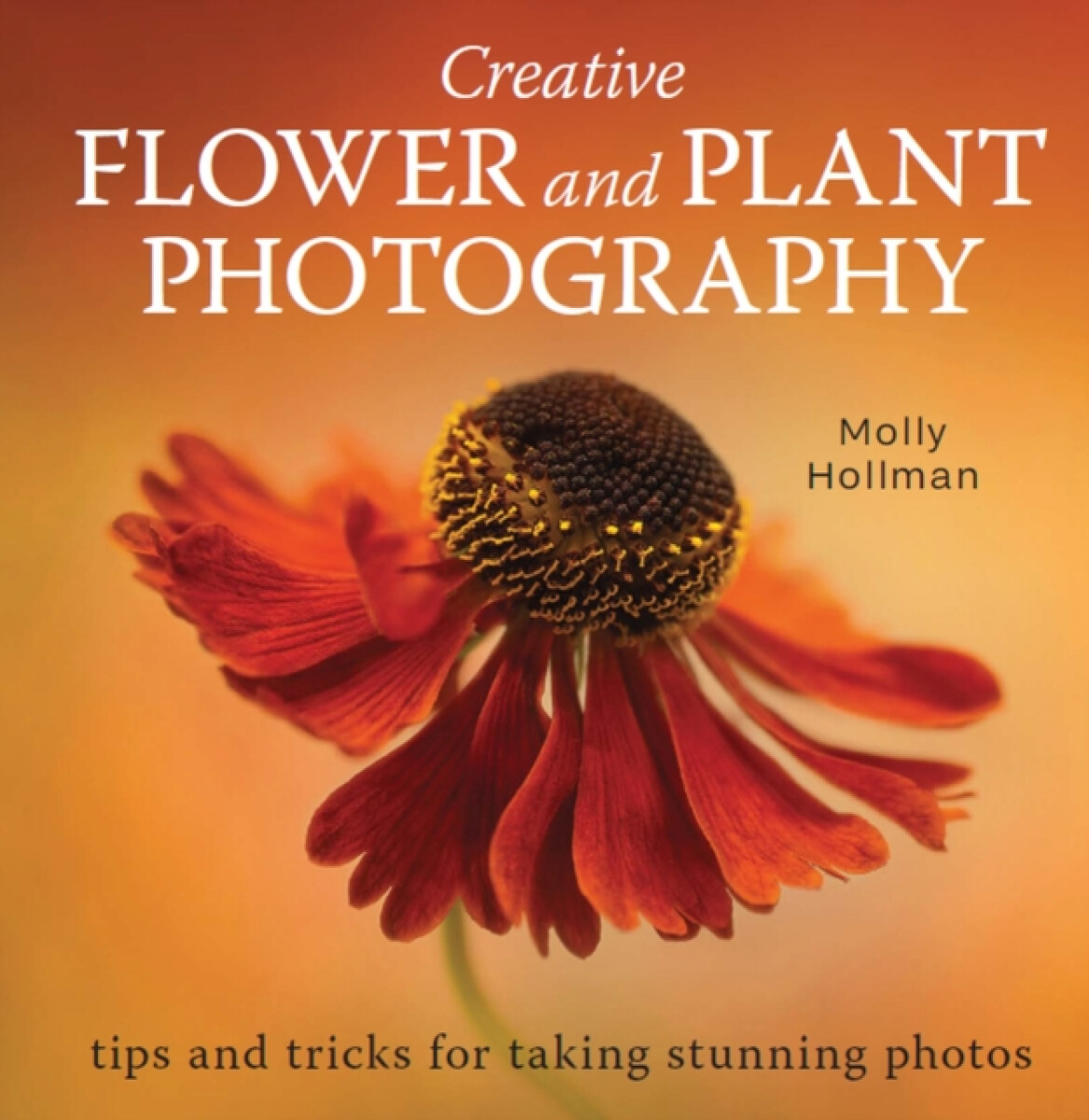 Kniha Creative Flower and Plant Photography