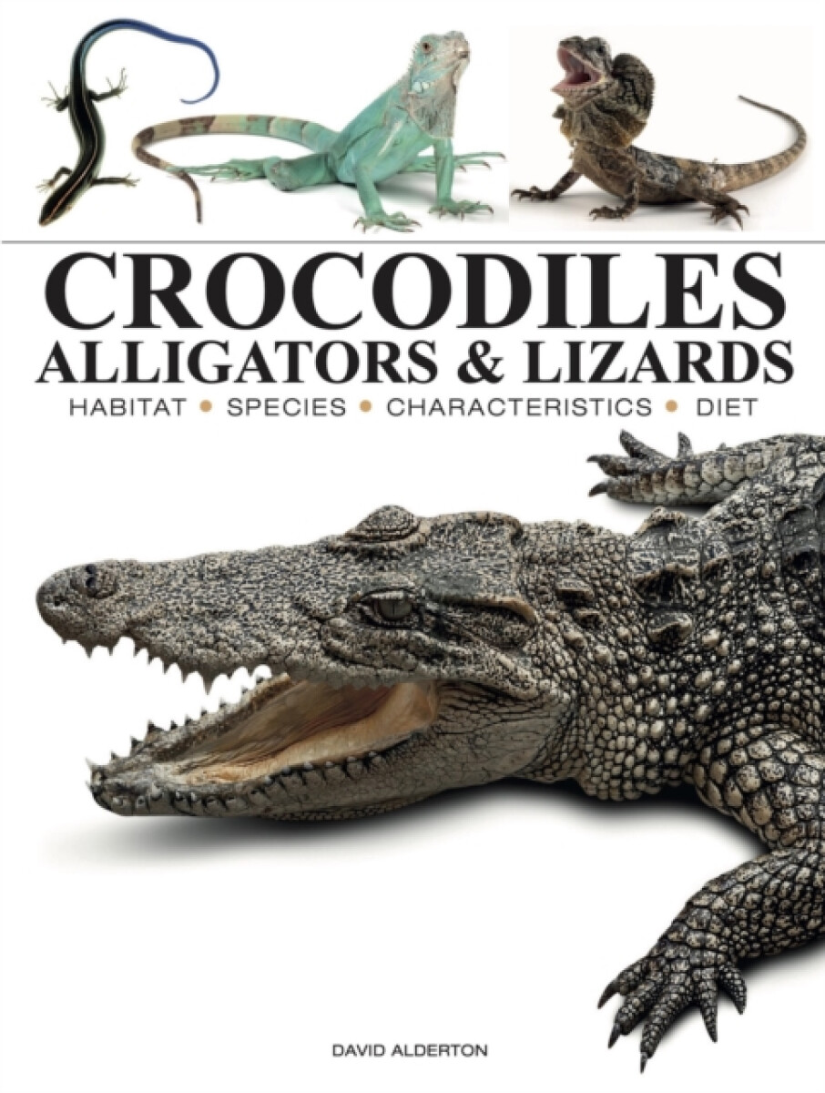 Kniha Crocodiles, Alligators & Lizards