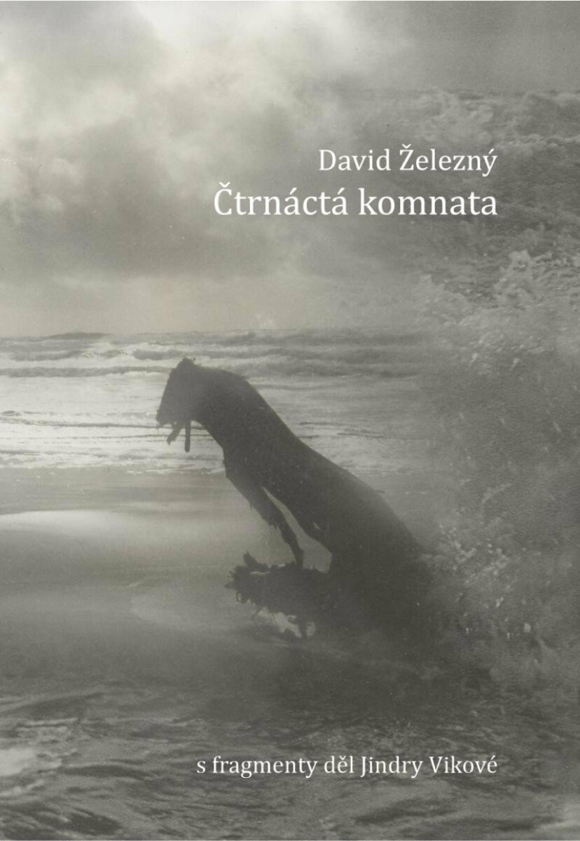 Kniha Čtrnáctá komnata