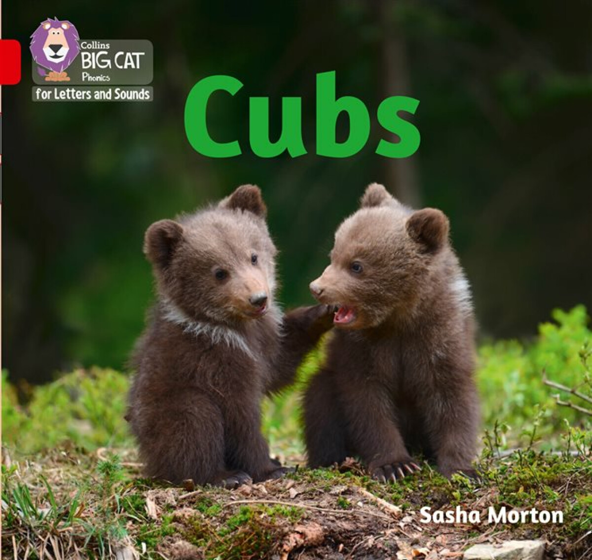 Kniha Cubs