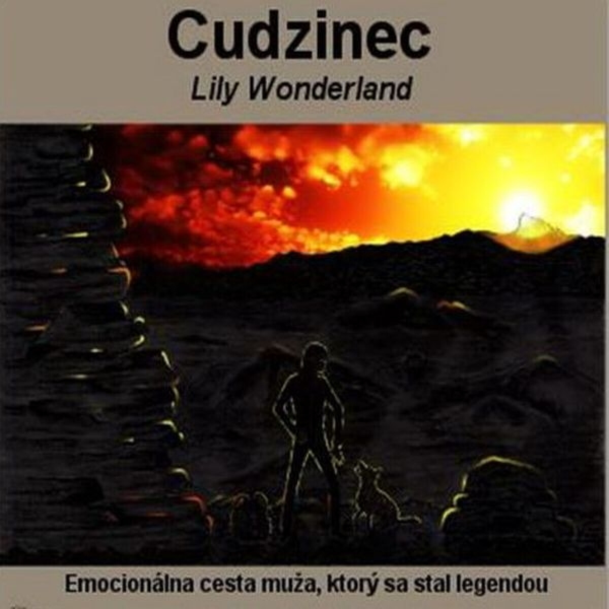 Levně Cudzinec - Valéria Osztatná Loomis - audiokniha