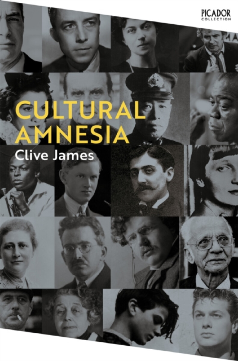 Kniha Cultural Amnesia