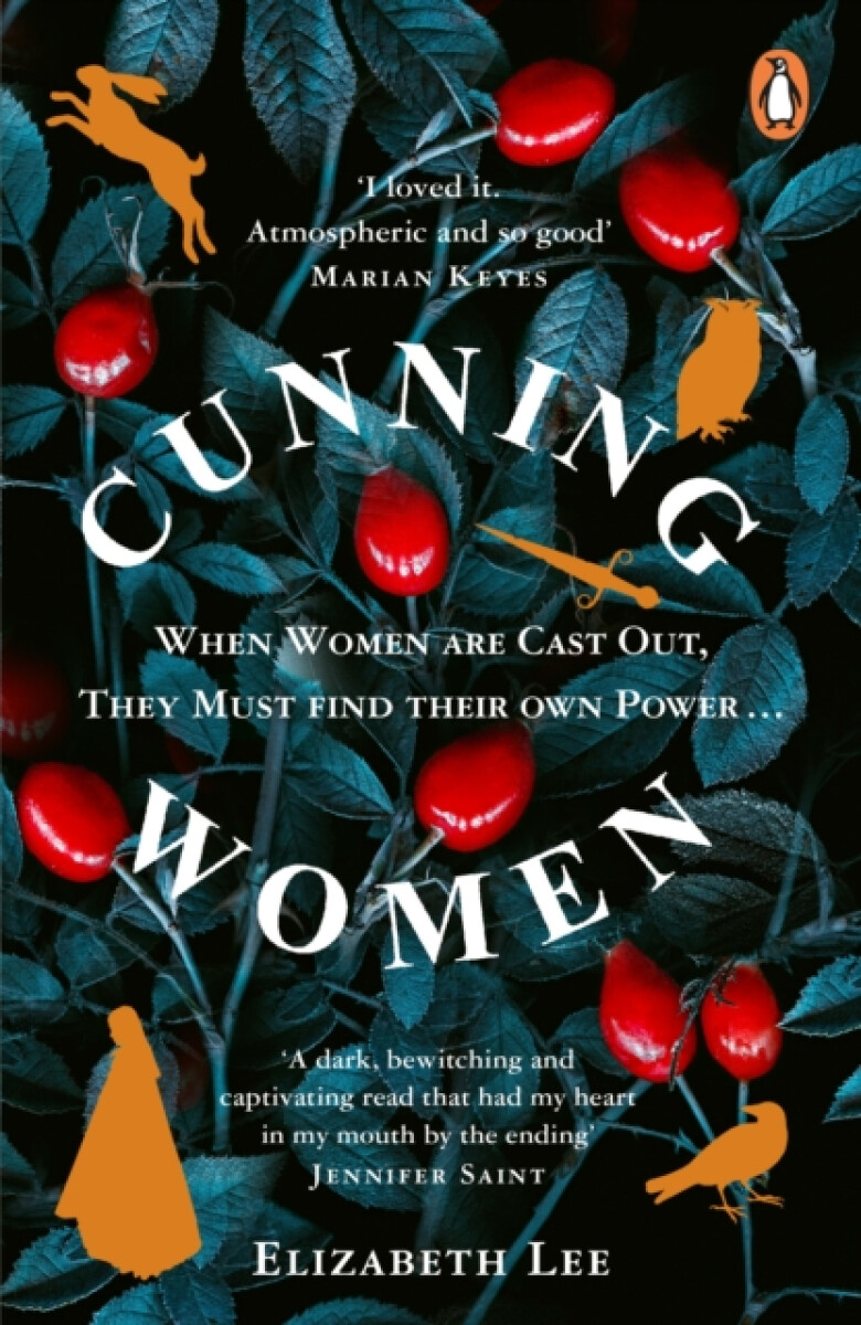 Kniha Cunning Women