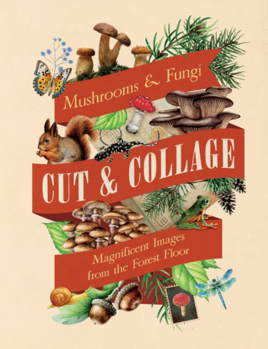 Kniha Cut a Collage Mushrooms and Fungi