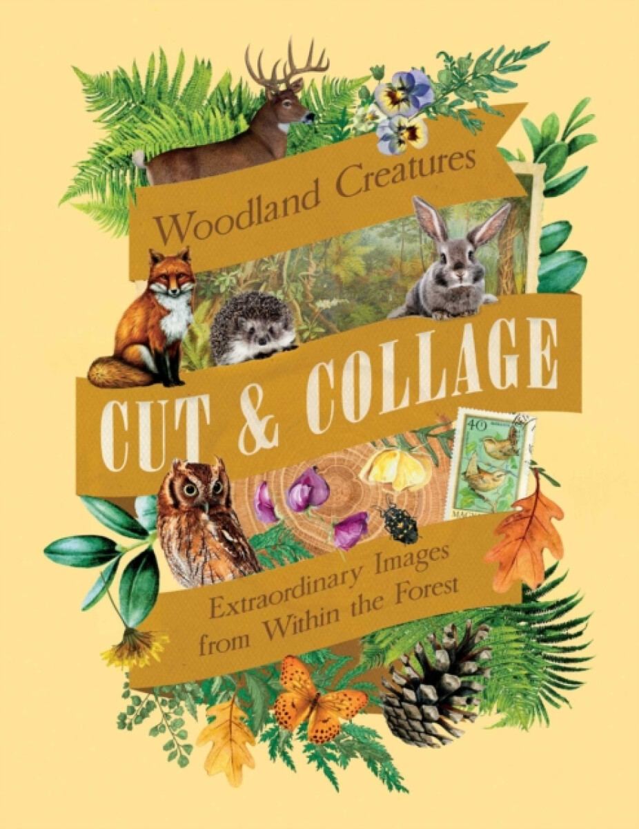Kniha Cut & Collage Woodland Creatures