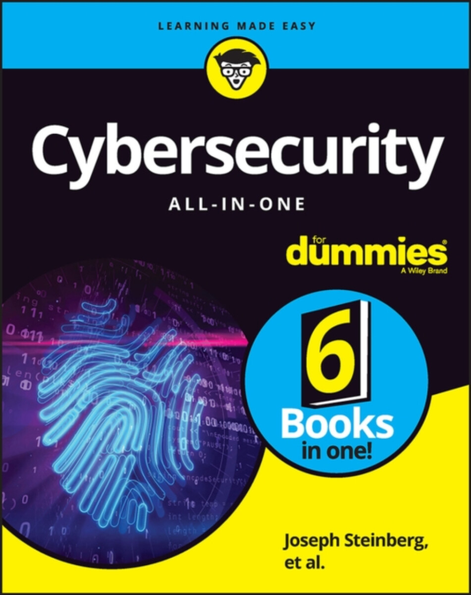 Kniha Cybersecurity All-in-One For Dummies